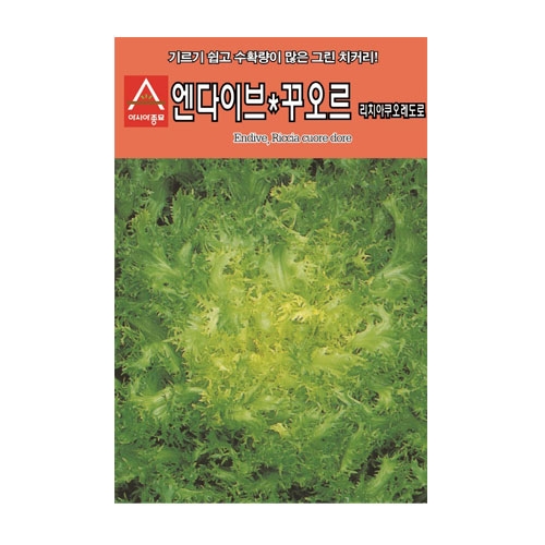 치커리씨앗 꾸오르 (1500립,70g) - 리치아쿠오레도로