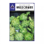 아티쵸크씨앗 그린글로브 (10g,100g) - 고급 서양채