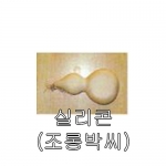 호박씨앗 실리콘 조롱박 (10립) - 관상용 호박