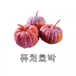 호박씨앗 퓨쳐호박 (10립) - 관상용 호박
