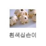호박씨앗 흰색십손이호박 (10립) - 관상용 호박