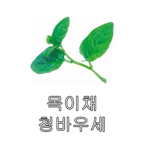 쌈씨앗 청바우세 (9g) - 목이채