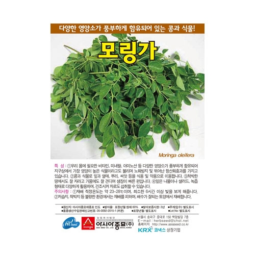 민속채소씨앗 모링가 (5g) - 콩과 식물