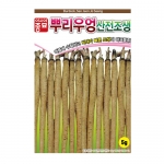 민속채소씨앗 산전조생 (5g,500g) - 뿌리우엉