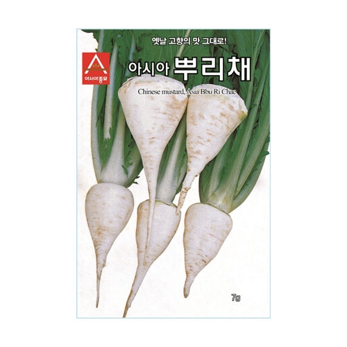 민속채소씨앗 아시아뿌리채 (7g) - 밀갓 재래종