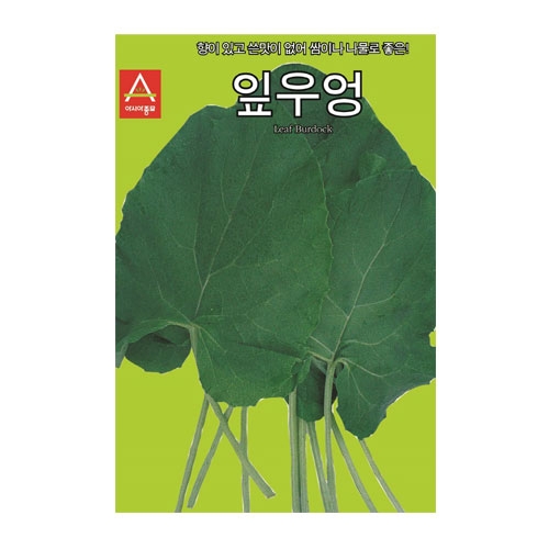 민속채소씨앗 잎우엉 (400립) - 재래종 잎우엉