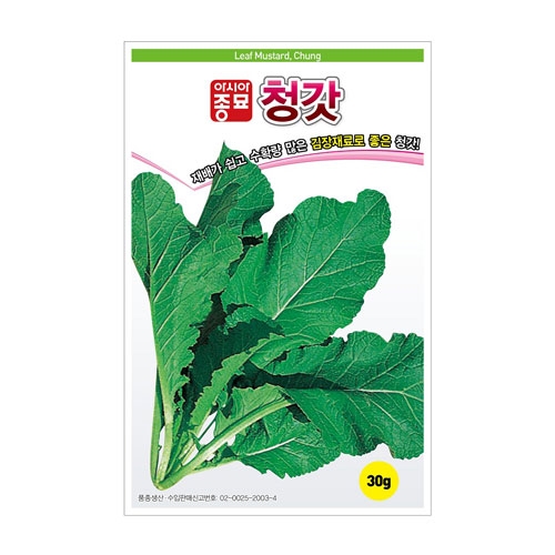민속채소씨앗 청갓 (30g,600g) - 김장재료