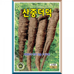 KS 산중더덕씨앗 3g - 재래종 더덕씨앗