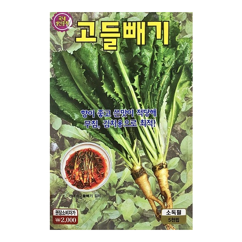 KS 고들빼기 5000립 - 무침 김치용