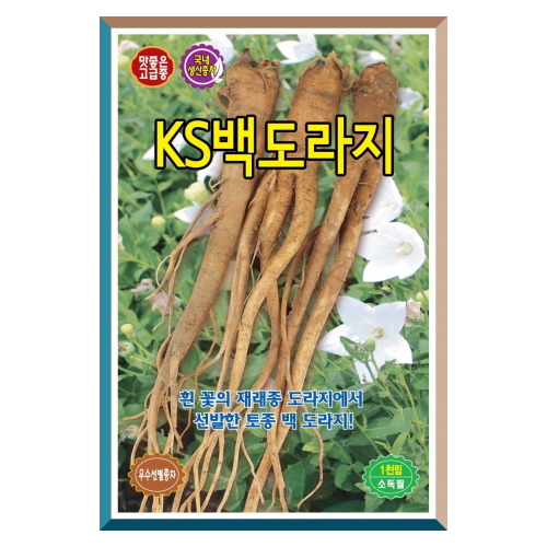 KS 백도라지 1000립-토종 백 도라지