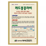 KS 적콜라비 300립-고급종 콜라비