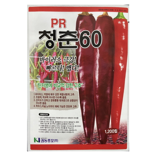 권농종묘 청춘60고추 1200립-탄저병에 강함