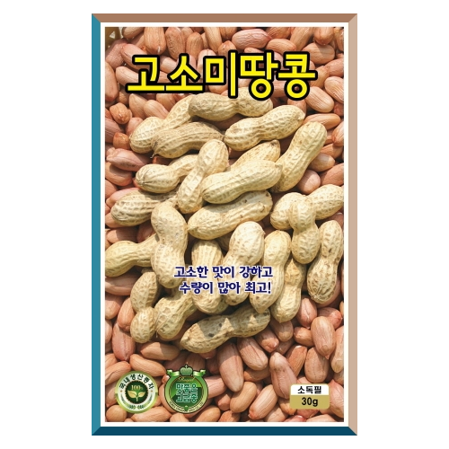 KS 고소미땅콩씨앗 30g-다수확량