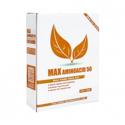 Citymax AminoAcid50 동물성아미노산 1kg - 세포분열 식물활력 액비원료