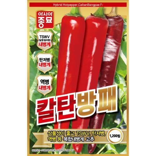 (아시아종묘/씨앗)고추씨앗종자 칼탄방패1200립+루터 100ml증정