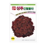 상추씨앗 코팅씨앗 진빨롤라상추(300립,1만립) - 전문농가용
