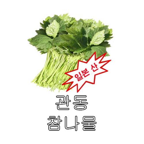 참나물씨앗 관동참나물 (500g) - 일본산