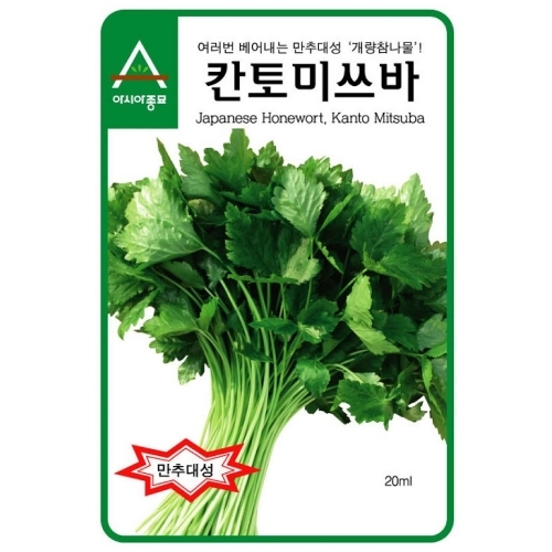 참나물씨앗 관동참나물 (500g) - 외국산