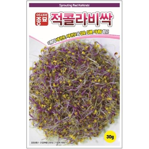 새싹씨앗 적콜라비싹(30g,1kg)