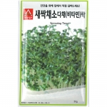 새싹씨앗 다채-비타민싹(30g,1kg)