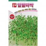 새싹씨앗 알팔파싹(30g,1kg)