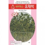 새싹씨앗 유채싹(30g,1kg)