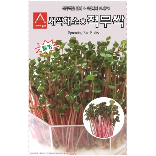 새싹씨앗 적무순이(30g,1kg)