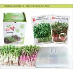 새싹재배용기 다용도재배용기 + 씨앗2종(각 30g)