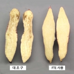 다기 FTE 2kg - 완효성 종합미량요소비료