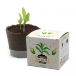 틔움 팜팜농장 - 친환경 지피포트 화분으로 옥수수 모종 키우기