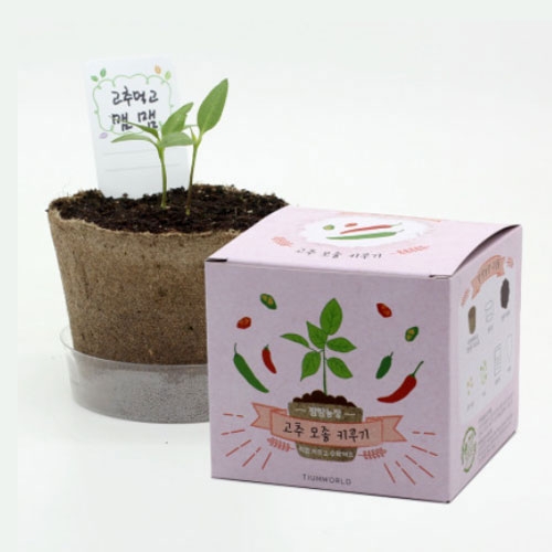 틔움 팜팜농장 - 친환경 지피포트 화분으로 고추 모종 키우기