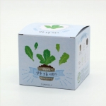 틔움 팜팜농장 - 친환경 지피포트 화분으로 상추 모종 키우기