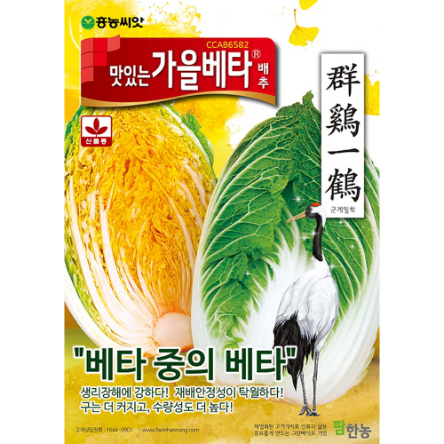 맛있는 가을베타 배추씨앗 300립-베타카로틴 김장배추씨앗(2021년포장)