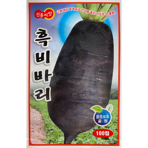 흑비바리 무씨앗 100립-근피색이 흑색이고 건강에 좋은 기능성 품종!