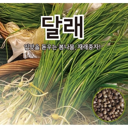 달래씨앗 400g -봄철무침나물