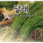 달래씨앗 400g -봄철무침나물