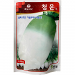청운무씨앗 8.000립-몸매좋은 가을무의 대명사 김장무배추