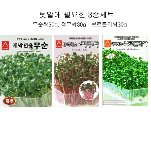 특가할인 씨앗 3종세트(무순싹30g, 적무싹30g, 브로콜리싹30g)