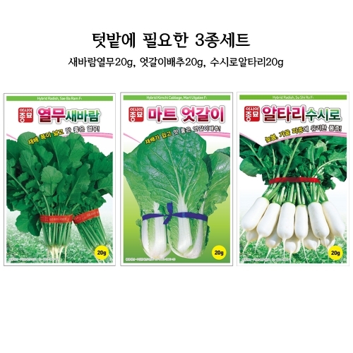 특가할인 씨앗 3종세트(새바람열무20g, 마트엇갈이20g, 알타리수시로20g)