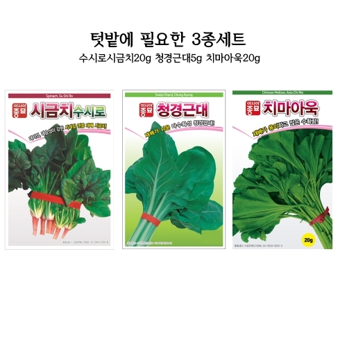 특가할인 씨앗 3종세트(시금치수시로20g, 청경근대15g, 치마아욱20g)