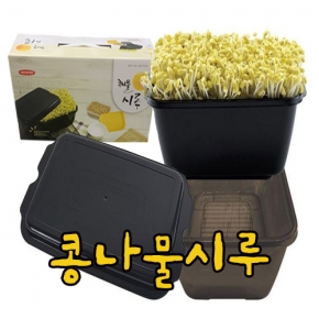 (아시아종묘/재배기)정성껏 키운 건강한 먹거리 콩나물시루 블랙 +콩나물콩 500g