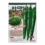 아맛나 풋고추씨앗100립-아삭하고 안매운 풋고추