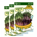 아시아종묘 새싹씨앗 모둠무순 4색무순(30g,30gx3)