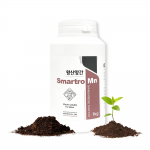 Smartro Mn 황산망간 1kg - 수용성망간 37%