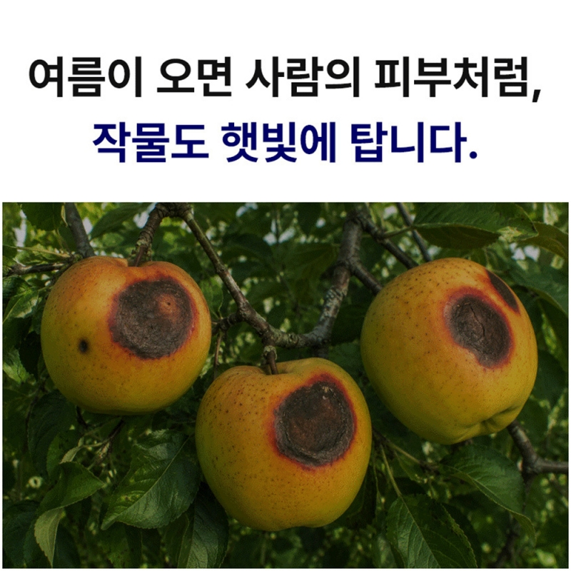 TKI 퍼세이드 탄산칼슘 1L 일소열과방지제 액상 칼슘제