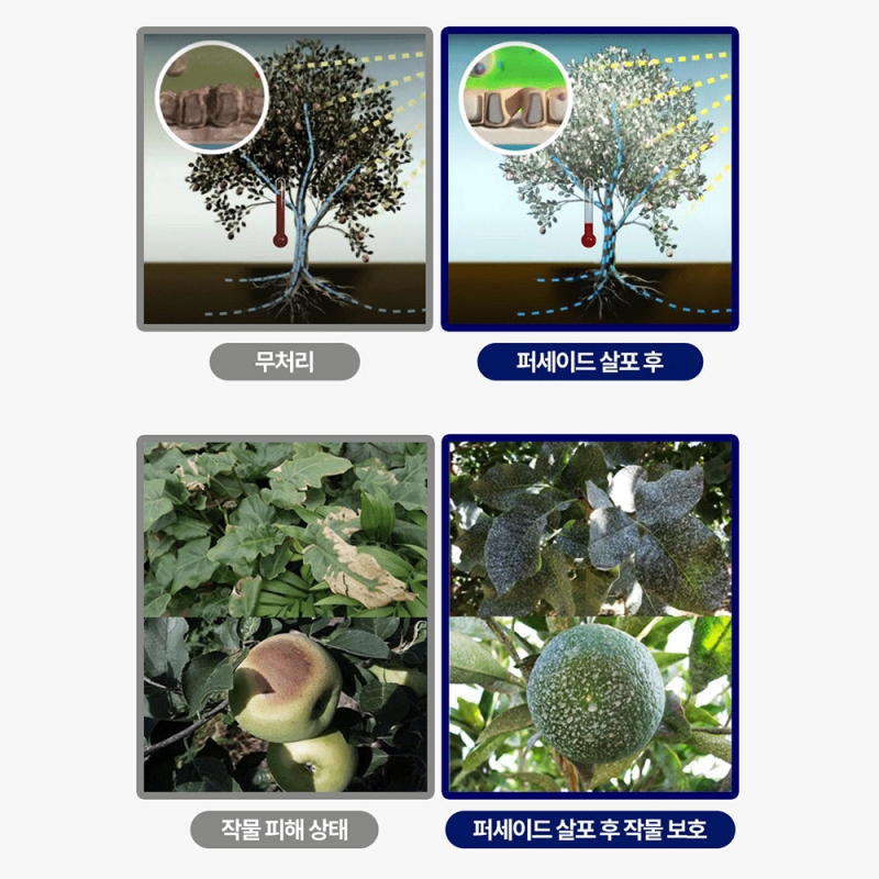 TKI 퍼세이드 탄산칼슘 1L 일소열과방지제 액상 칼슘제