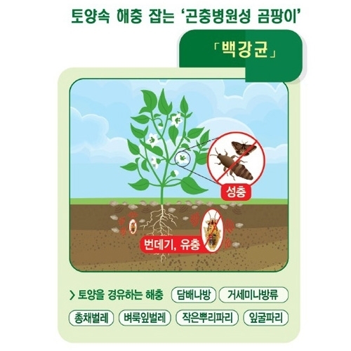 대유 팡싹충싹 1.5kg 3kg - 친환경 병해충관리제