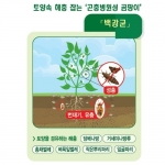 대유 팡싹충싹 1.5kg 3kg - 뿌리파리 곰팡이 친환경 병해충관리제