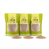 태흥 가든집사 다육이볼 1.5L - 다육식물 삽목 수경재배