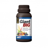 대유 자이언트빅 1L - 과실비대관리계의 명작